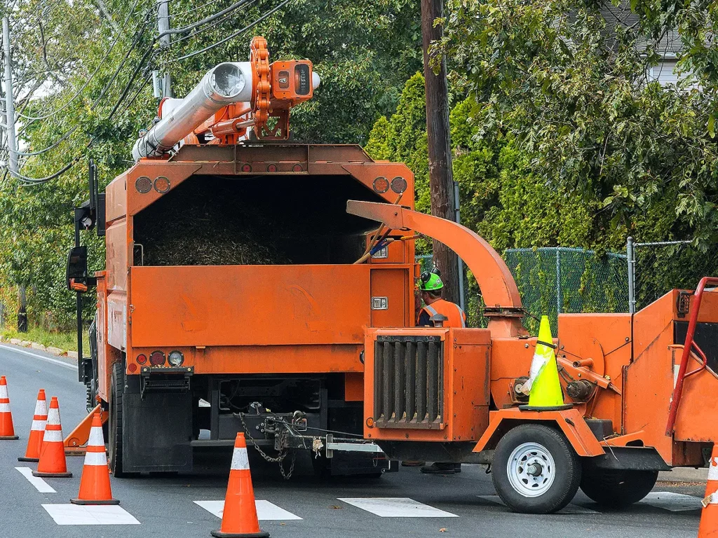 Fortress Tree Service Rockville Tree Removal Tree Maintenance Stump Removal Stump Grinding Tree Care Tree Trimming Tree Pruning Arborist Tree Service